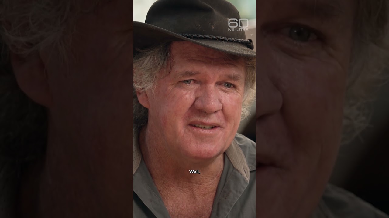 Living alongside the most dangerous predator on Earth #shorts