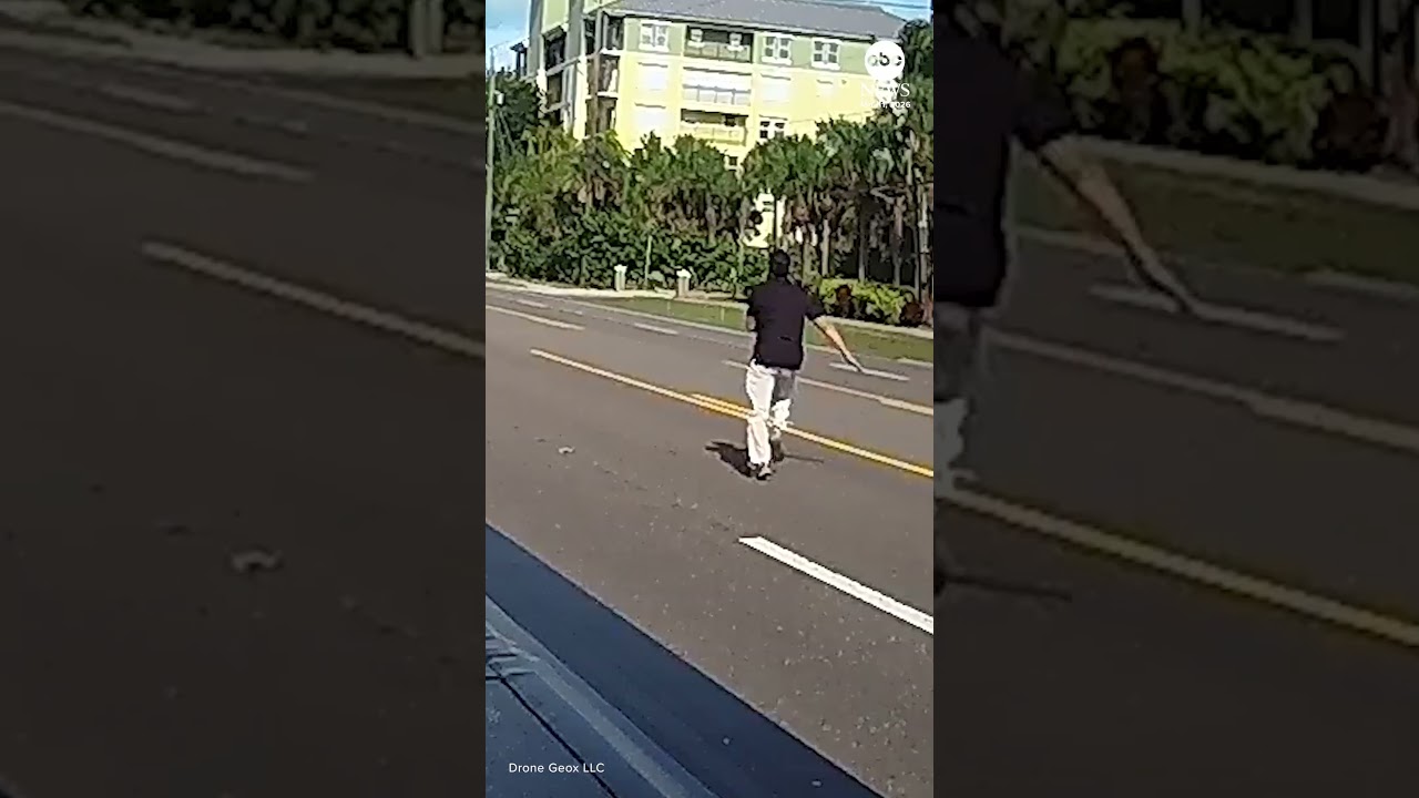 Man rescues toddlers spotted walking in middle of busy Florida road