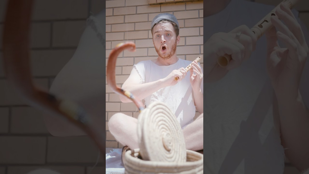 Meeting an Australian snake charmer