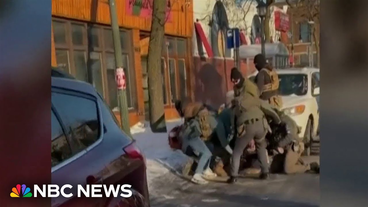 New video shows Alex Pretti interacting with federal agents days before fatal shooting