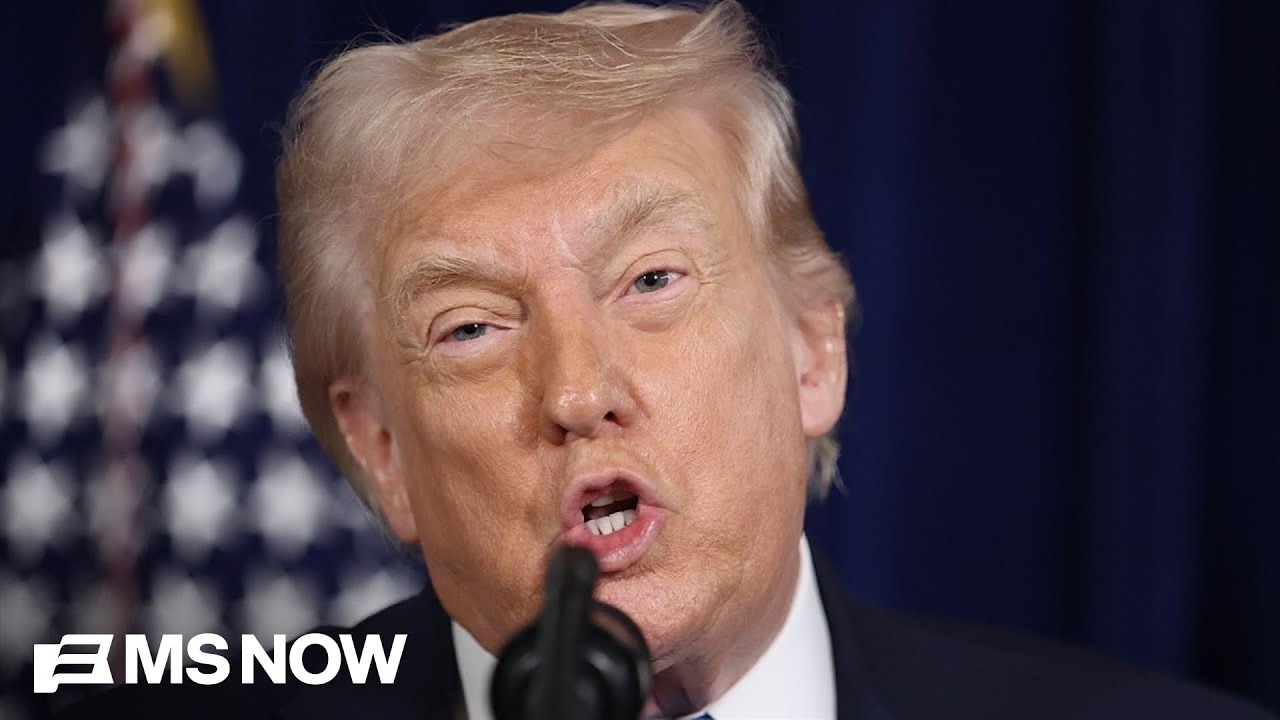 ‘Out of control, thuggish government’: Political analyst slams Trump’s ICE crackdown