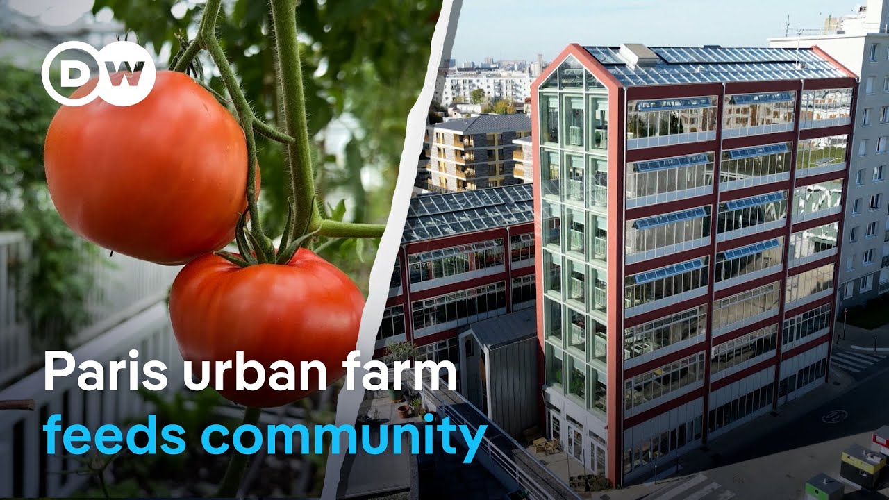Paris urban farm feeds the city, and its community spirit | DW News