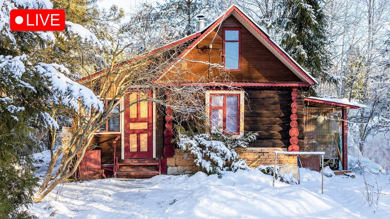 Peaceful New Year | Cozy Winter instrumental Music for a Heartwarming Time – Relaxation Film