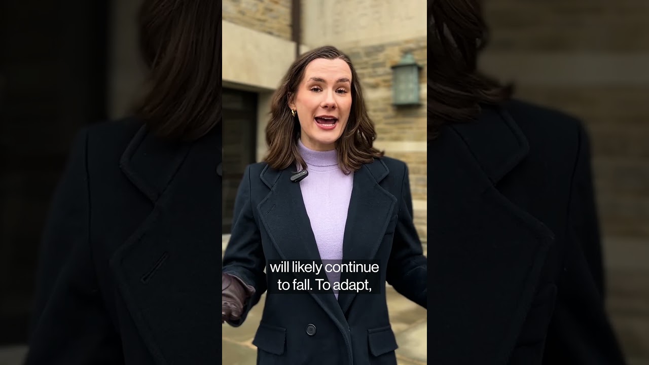 Plunging US birth rate leaves many college with too few kids