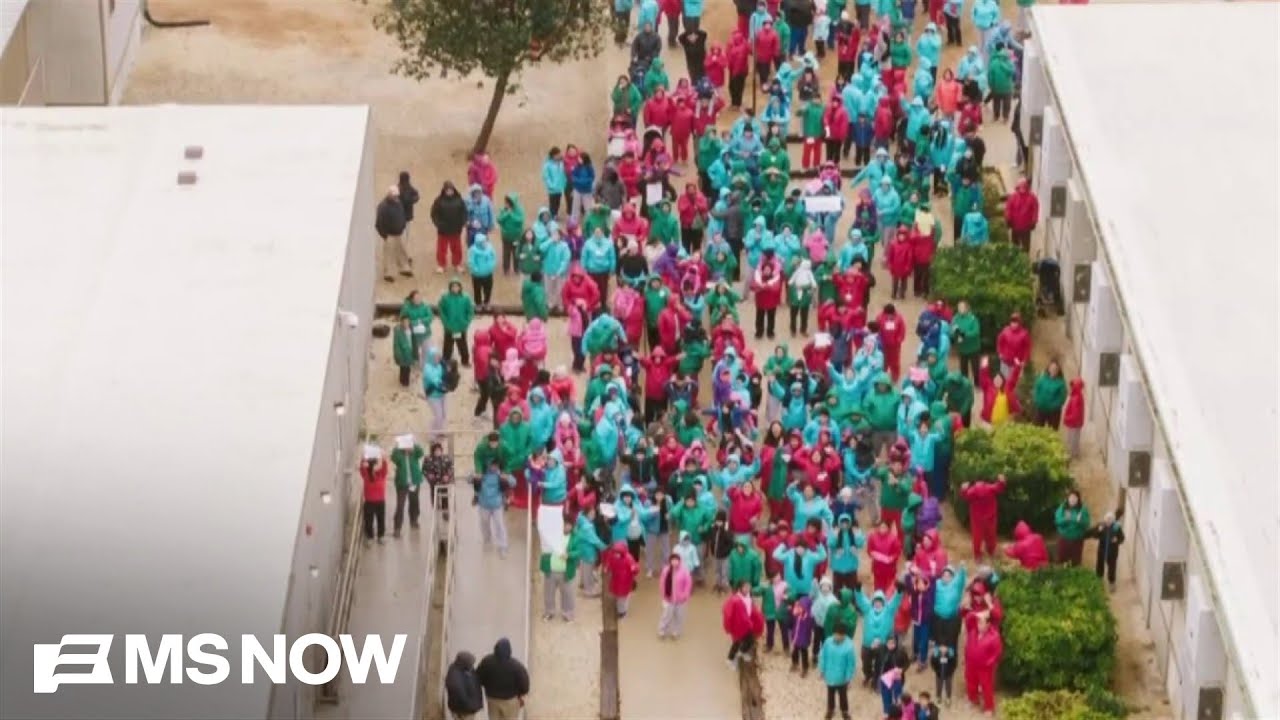 ‘Professional liars’: Immigration Attorney BLASTS Trump admin.