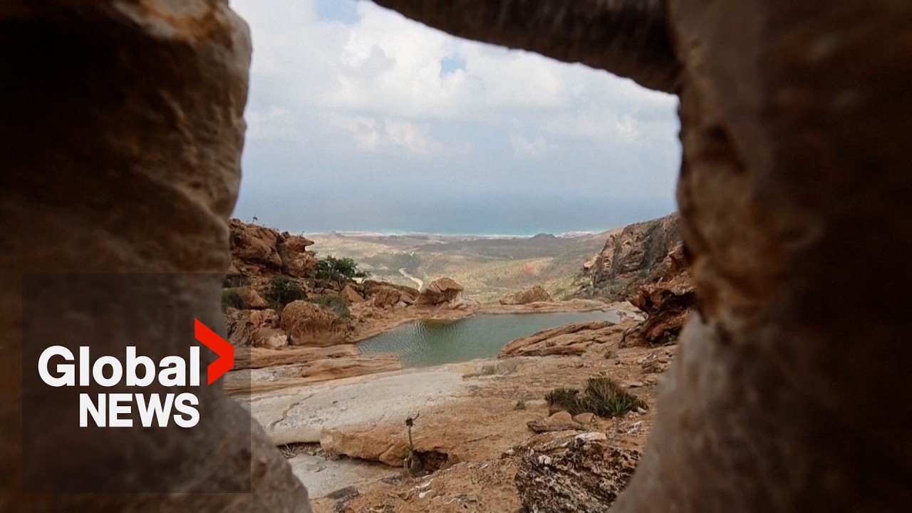 Saudi-UAE rift leaves 600 tourists stranded on remote Yemeni island