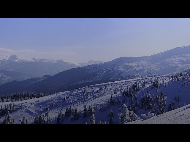 Snow Forecast (2026/01/31)