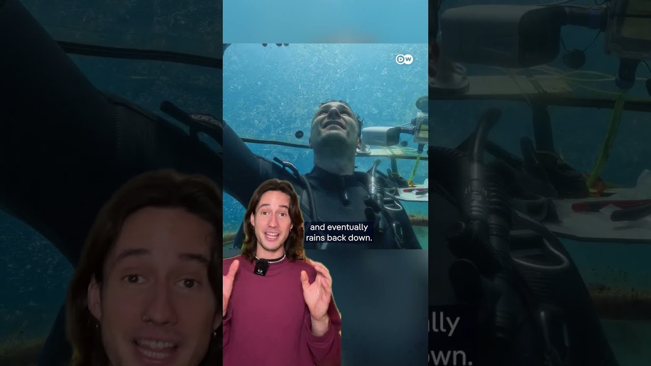 The world’s first underwater greenhouses | DW Documentary