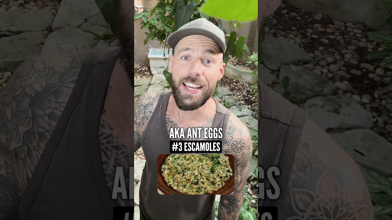 The world’s most bizarre foods 👀