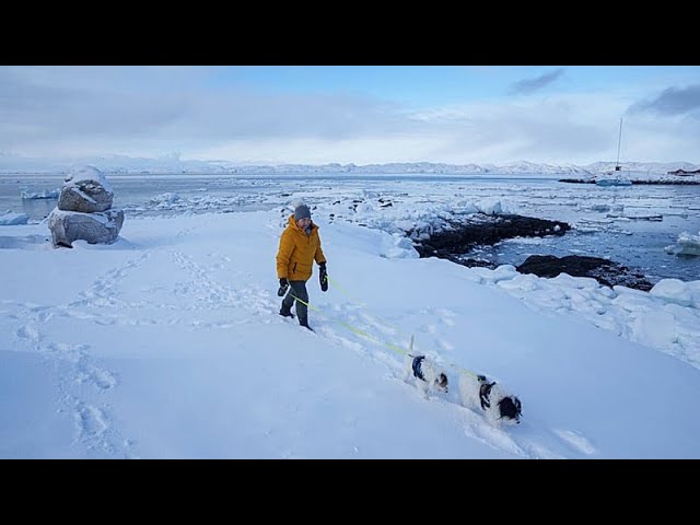 ‘We are not a product’: Greenlanders voice concern over US takeover plans