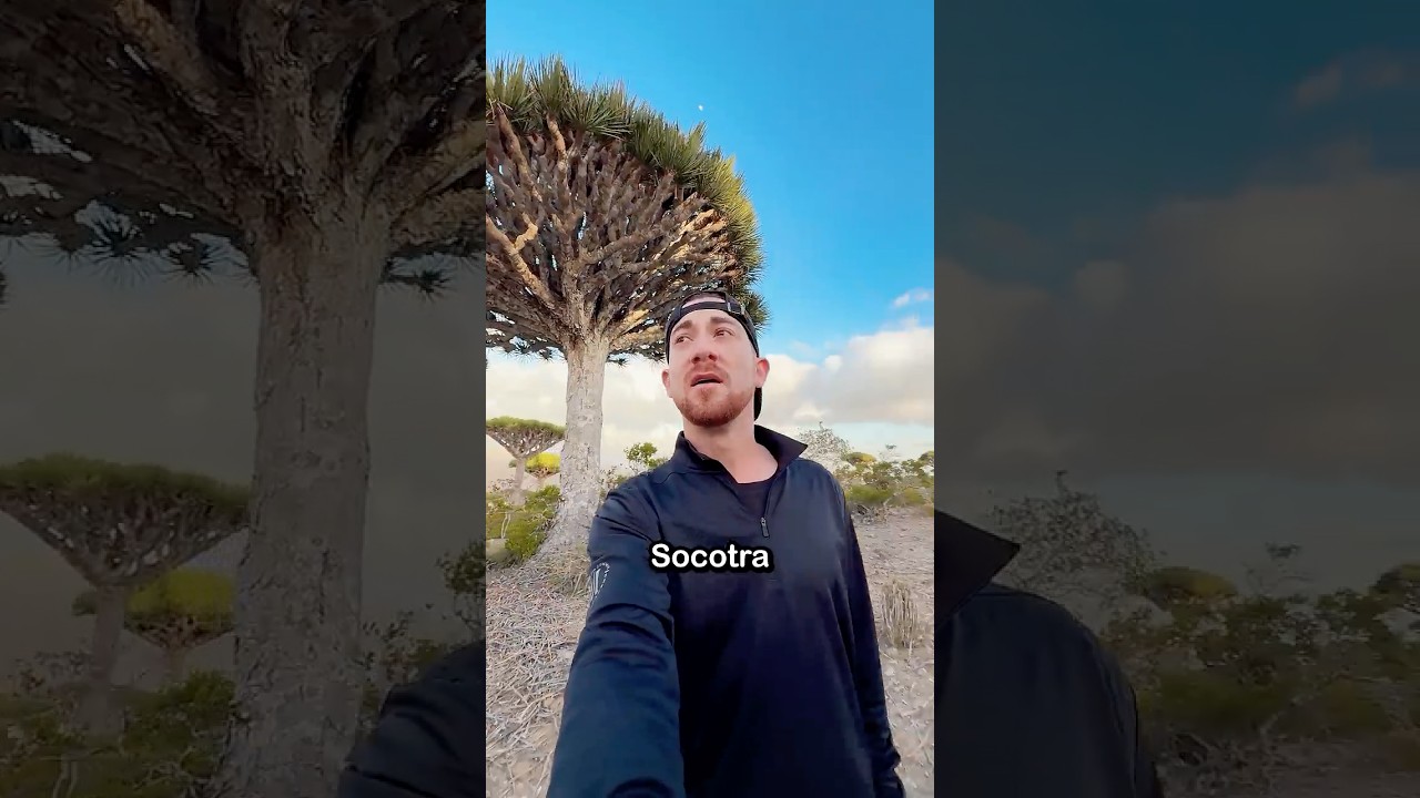 Why Socotra Is the Weirdest Island on Earth