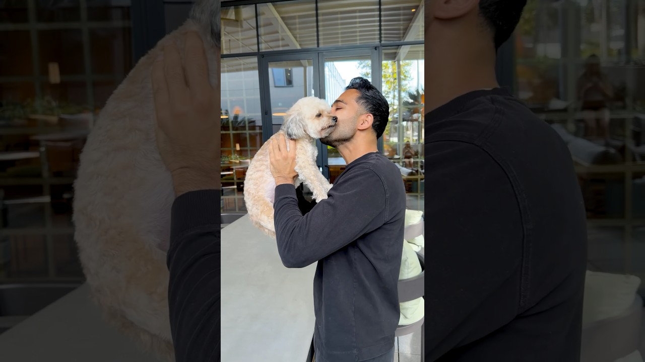 You’ll never catch my dog lackin’ 🐶