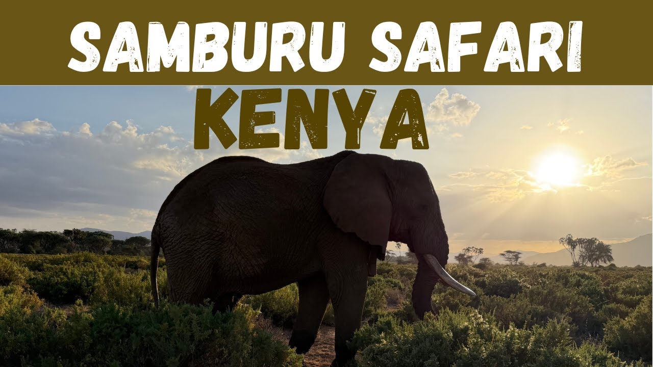 Amazing Samburu Safari! Kenya, Africa: Elephant Watch Camp 3-day Adventure!