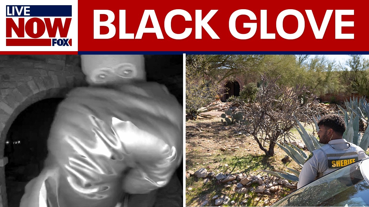 Black glove found near Nancy Guthrie’s home, reports say