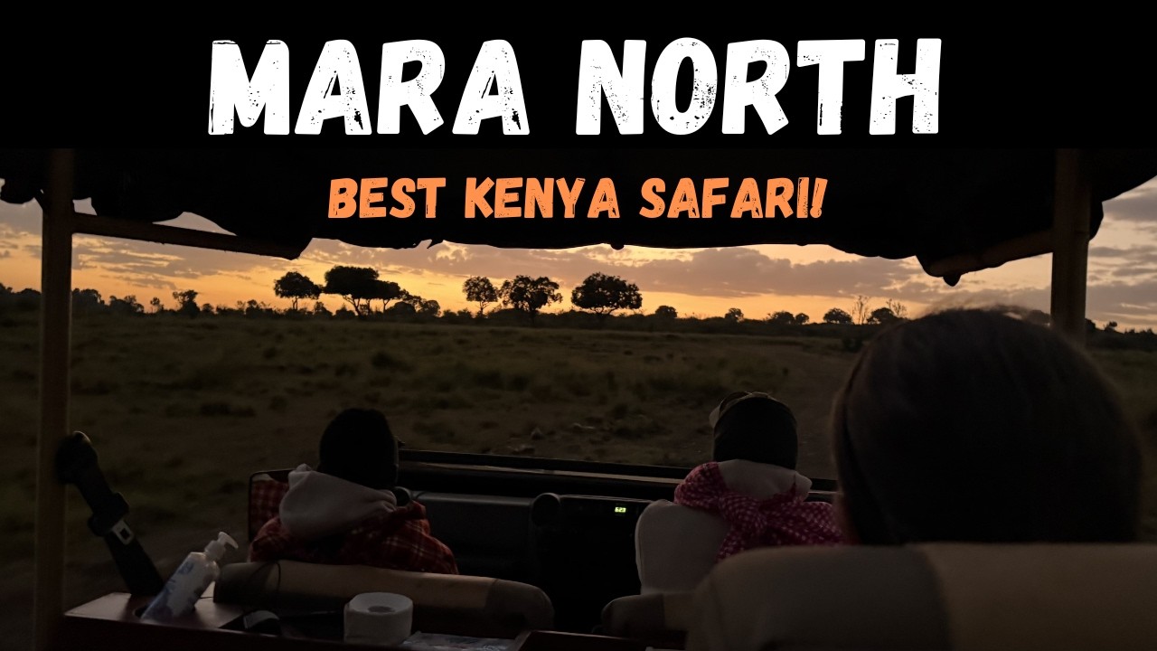 Breath-taking Mara North Conservancy in Kenya: Africa’s Best Safari!