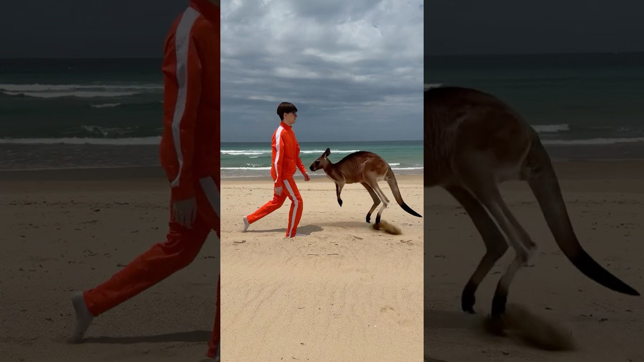 Catching Australian Beach Worms