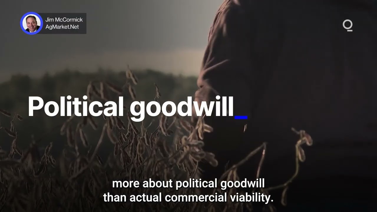 China Demand Tests US Soybean Supply | Presented by CME Group