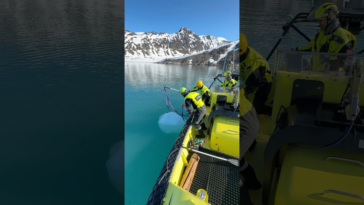 Collecting Glacier Ice By Boat! 🥶 #ice #glacier #boats