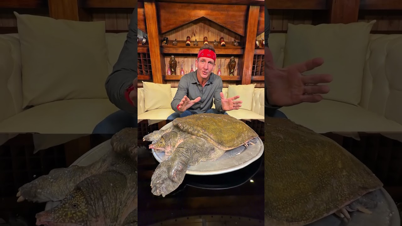 Eating Soft Shell Turtle…