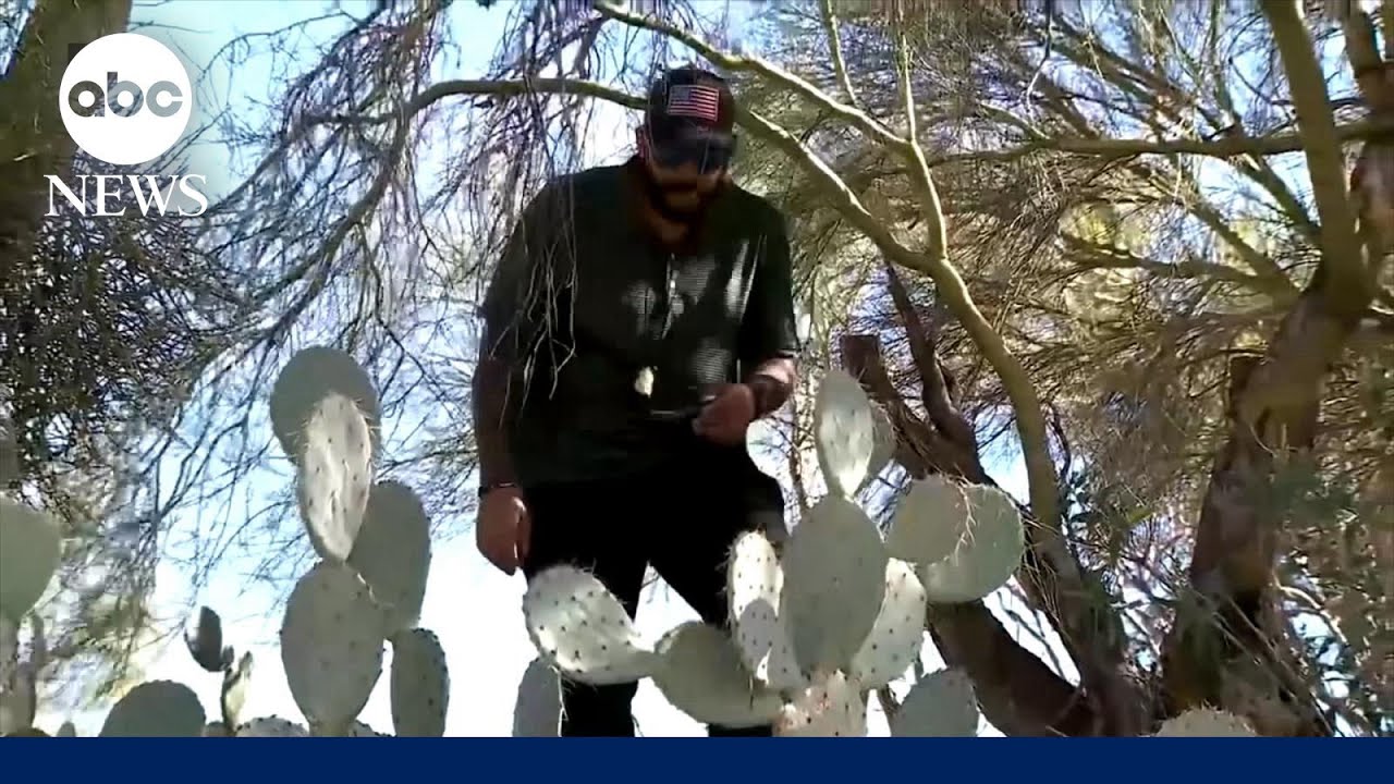 Former Secret Service agent on search for Nancy Guthrie