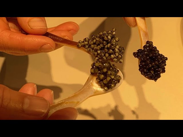From Europe with taste: ‘World’s first organic caviar’ savours new markets