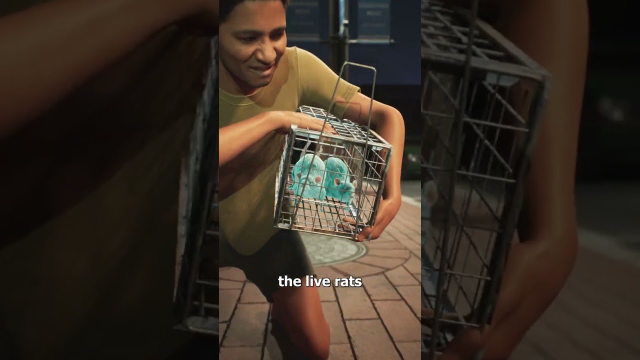 How A Rat Bounty Made The Plague Worse 😨