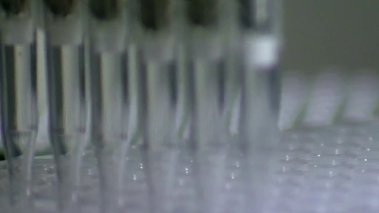 How genetic genealogy is being used in the Nancy Guthrie case