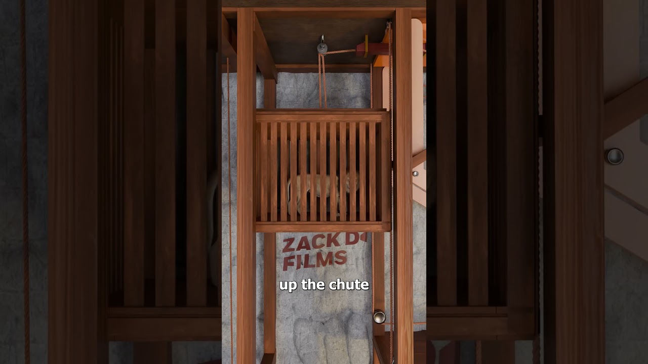 How Lions Suddenly Appeared Inside The Colosseum 😮