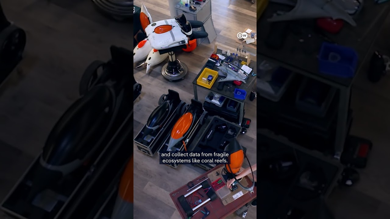 How robots will protect our oceans | DW News