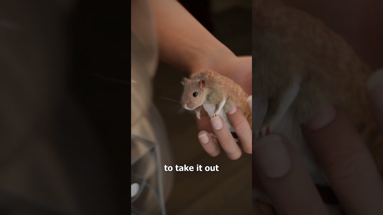 How The Gerbil Vest Worked 😮