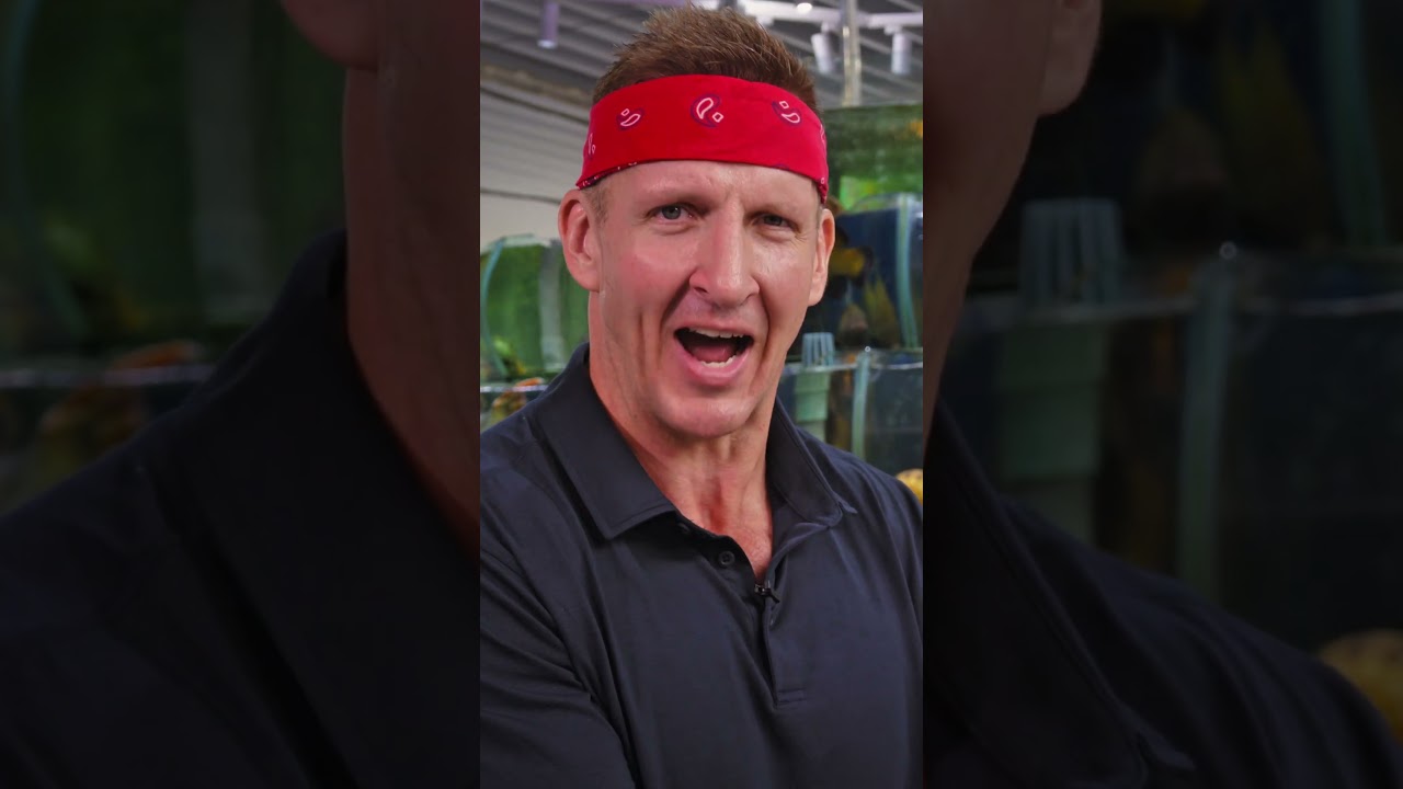 I ate EVERY SHRIMP!!