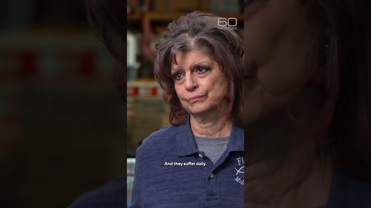 Inside a West Virginia food bank #shorts