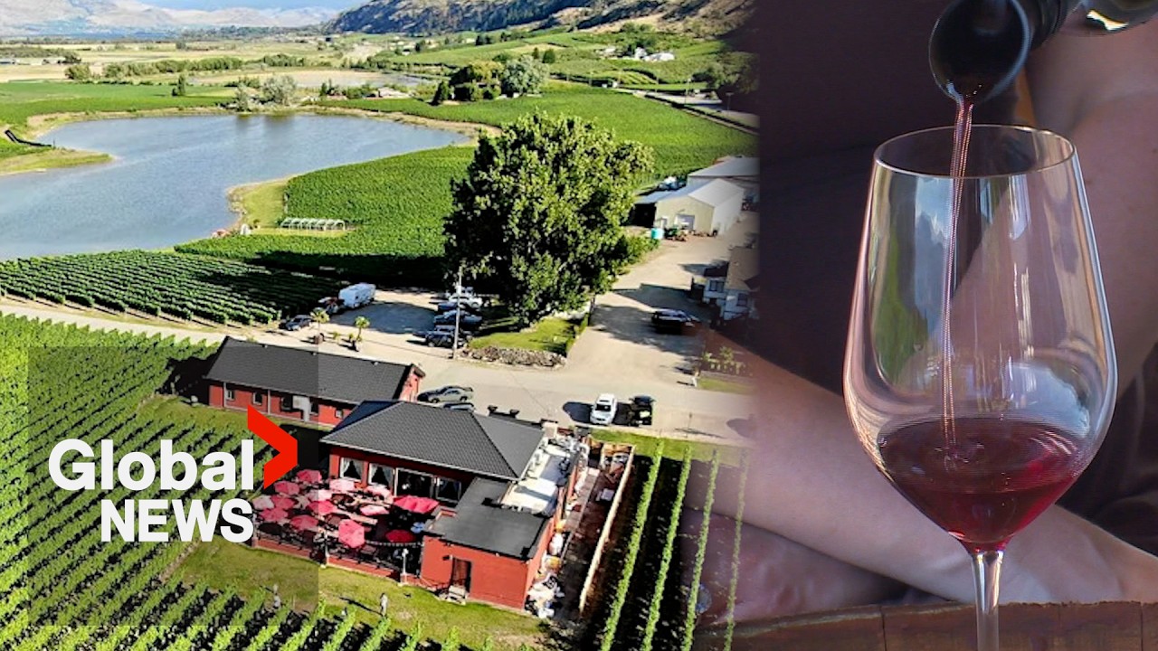 “It’s always heartbreaking”: Multiple Okanagan wineries in foreclosure