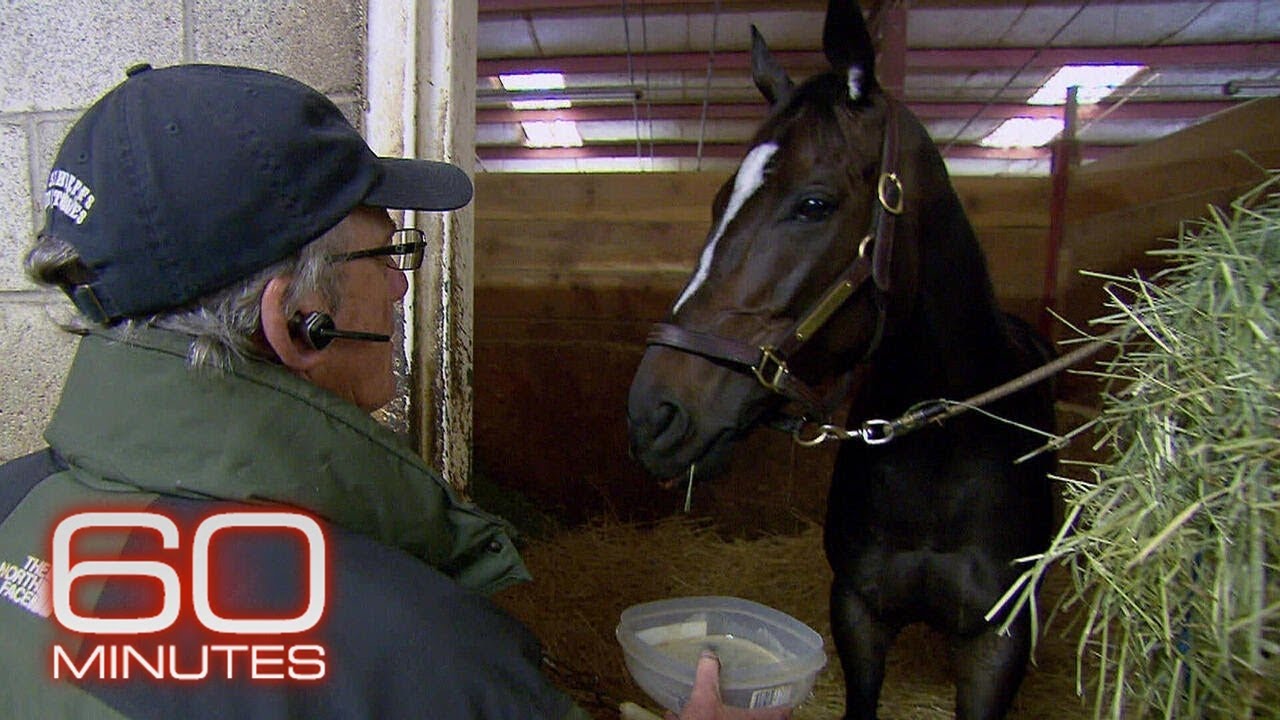 John Shirreffs & Zenyatta | 60 Minutes Archive