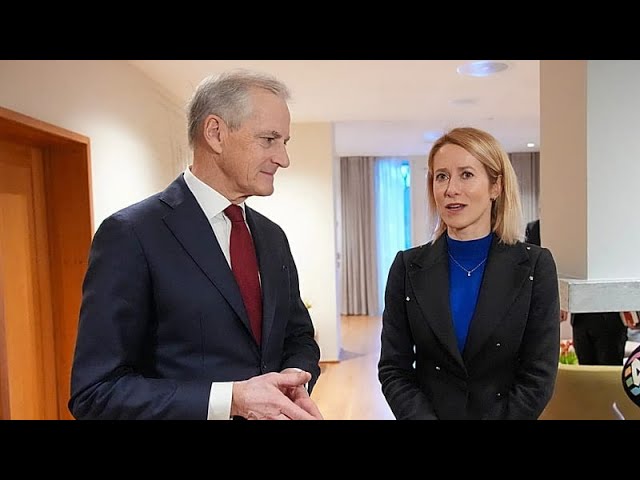 Kallas denies rift between NATO and EU, rejects calls for a European army