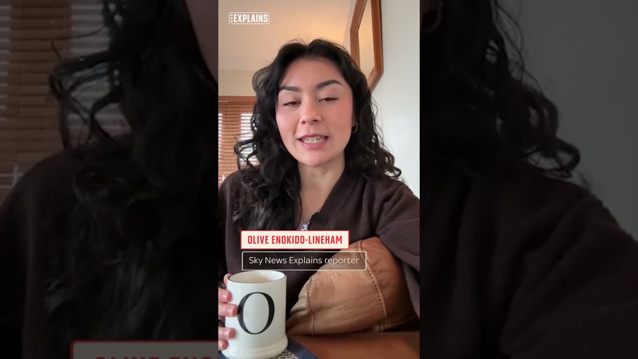 Meet Olive: Sky News’ Explains Reporter