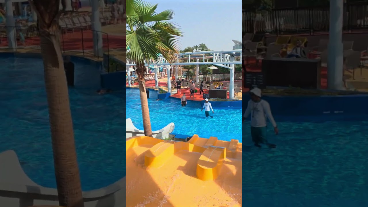 Multi-Lane Water Slide at Grand Hyatt Dubai Waterpark 🇦🇪