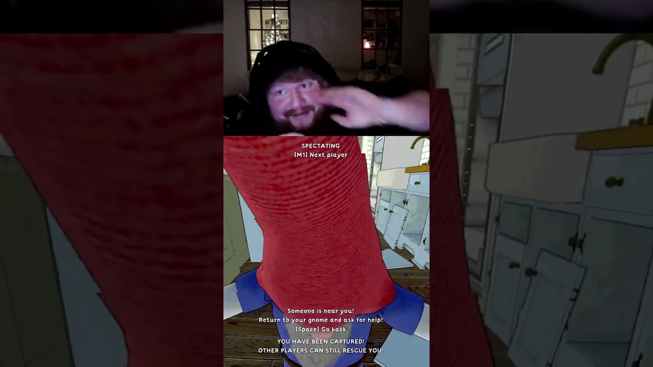 Nothing But Chaos In This Game