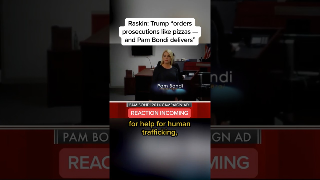 Raskin: Trump ‘orders prosecutions like pizzas — and Pam Bondi delivers’