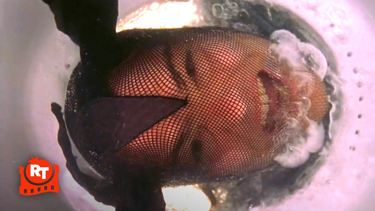 Saving Silverman (2001) – HILARIOUS! Jack Black Kidnaps Judith | Movieclips