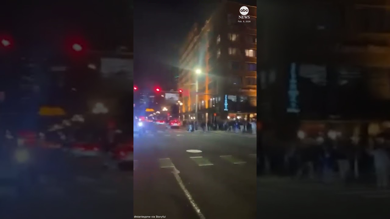 Seahawks fans celebrate team’s Super Bowl victory