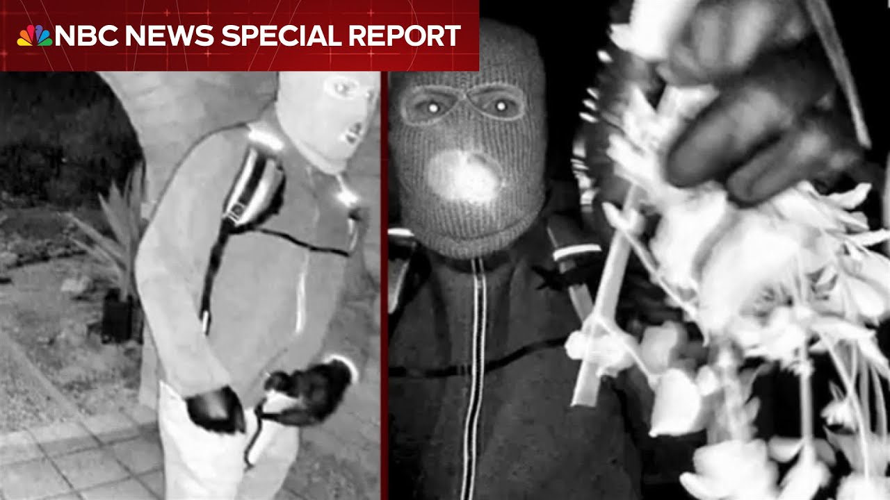 Special Report: Man detained for questioning in Nancy Guthrie disappearance