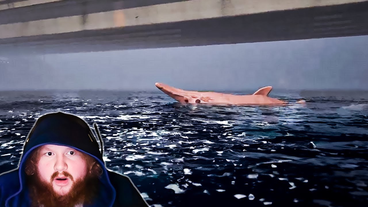 This Shark Tried To Eat Me… (Umigari Part 3 Both Endings)