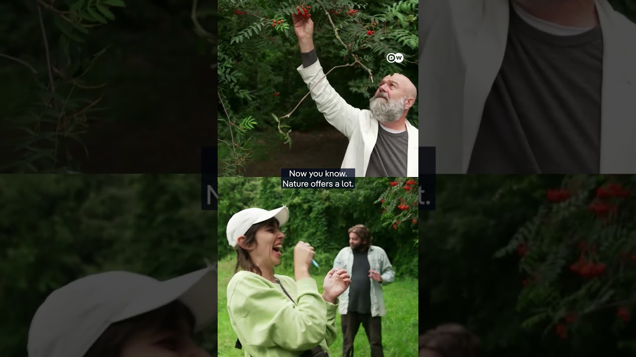 Urban foraging – Food on the roadside 🫐 | DW Documentary