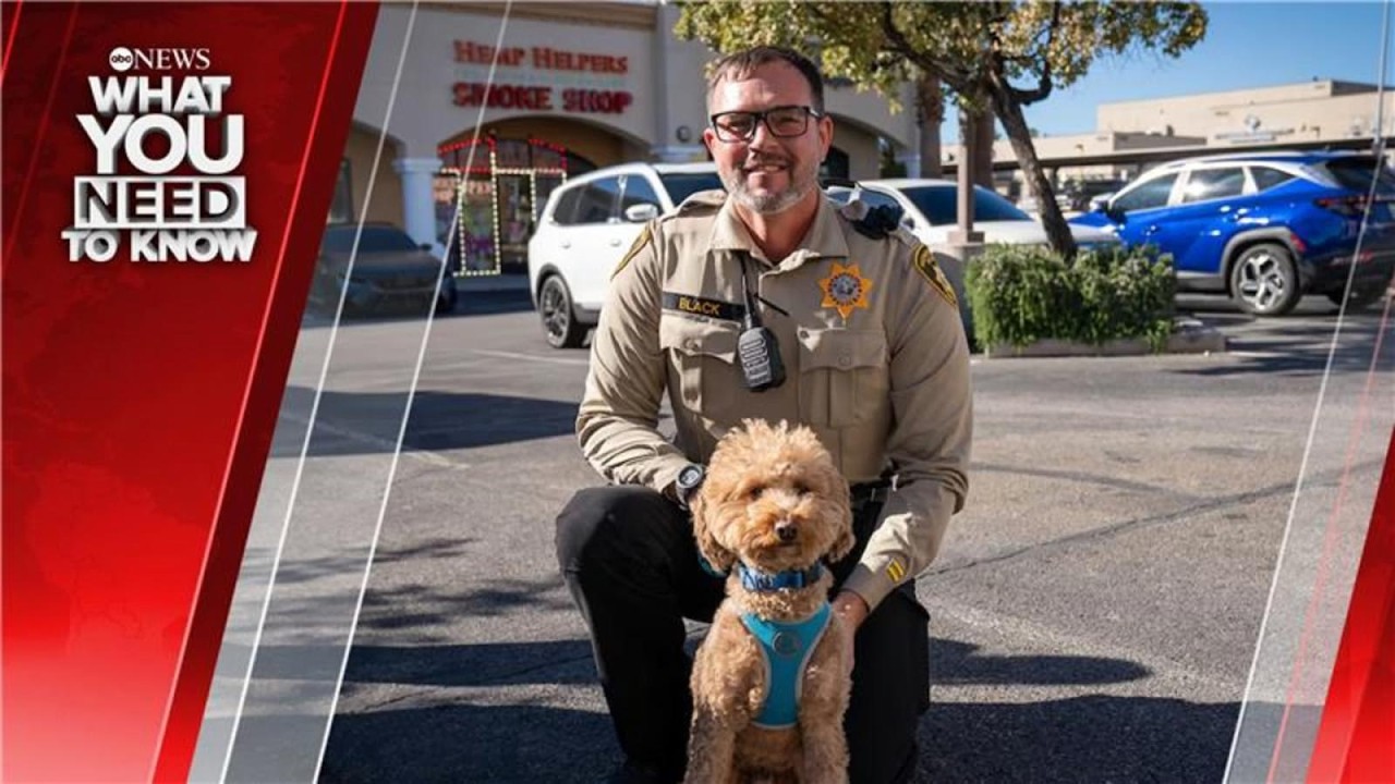 What You Need To Know – Weekend Edition