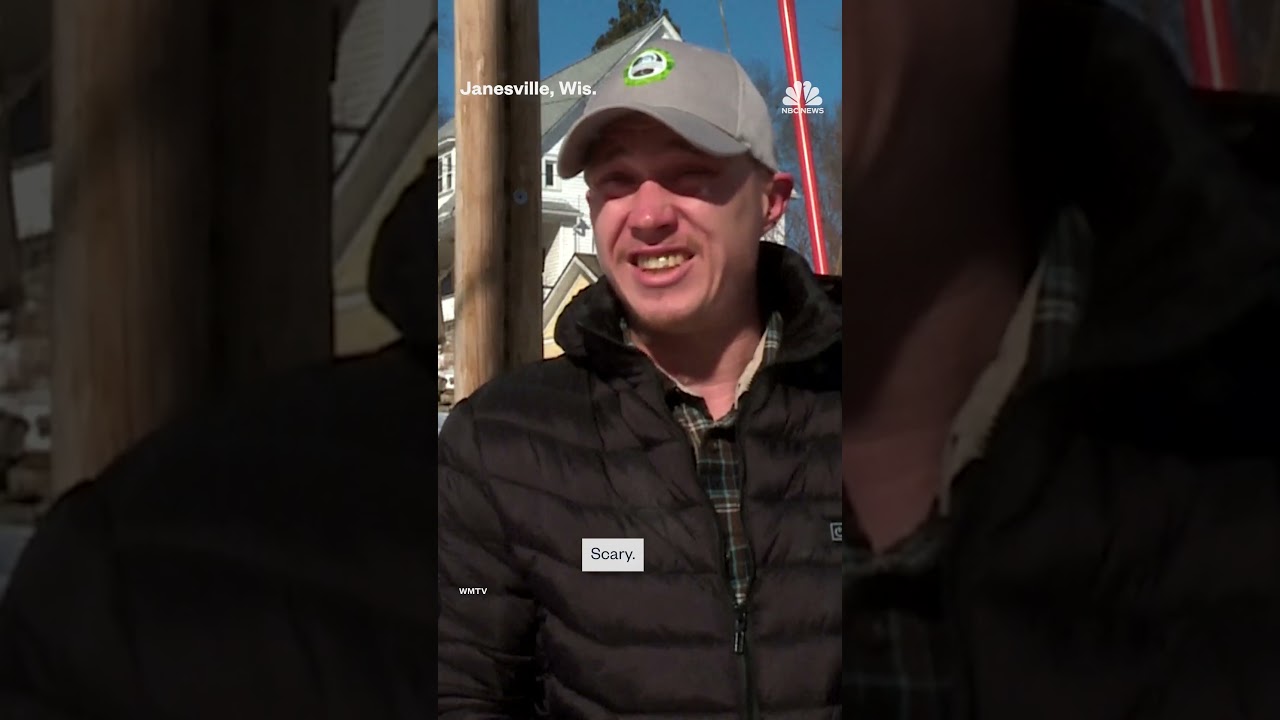 Wild turkeys terrorize Wisconsin town