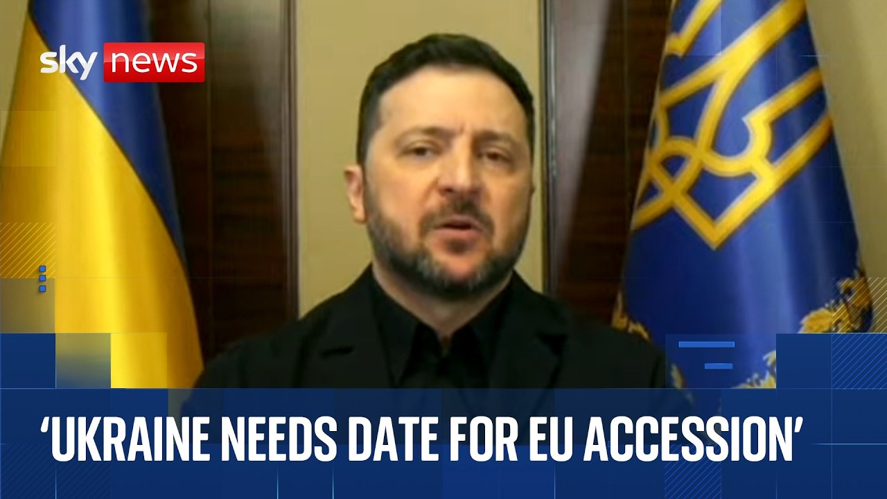 Zelenskyy reflects on four years of war in speech to EU parliament