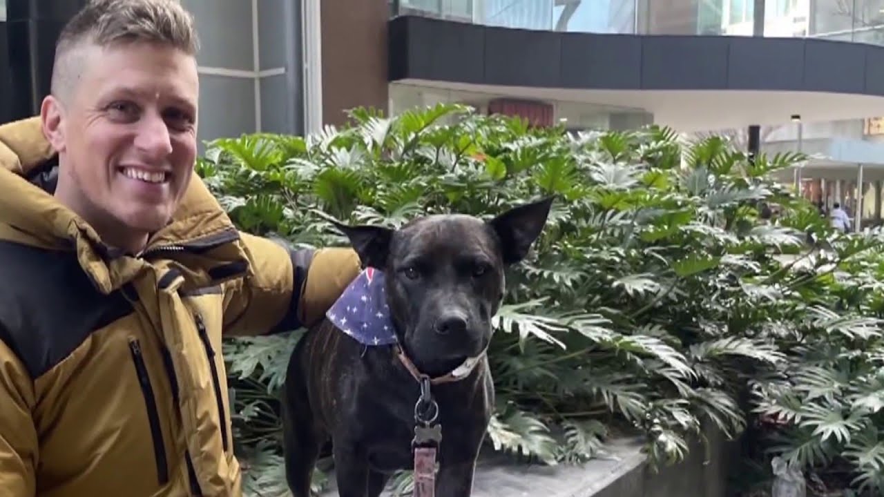 Australian tech entrepreneur uses AI to create cancer treatment for his dog