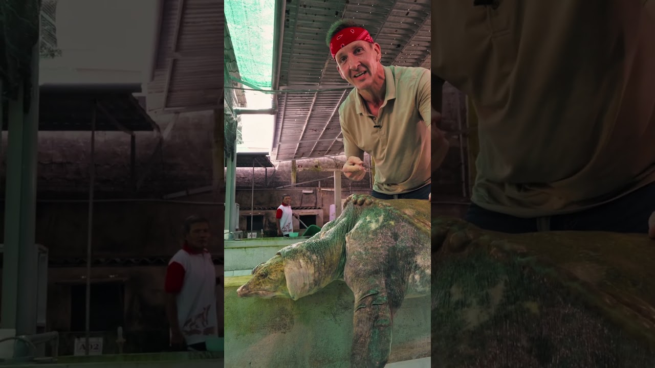 Best Ever Food Review Show #shorts