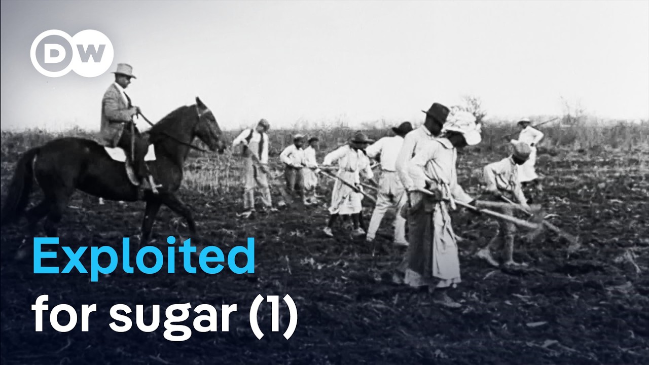 Blood, sweat, and human trafficking: How sugar created slavery (1/2)| DW Documentary